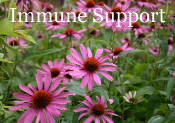 Immune-Support